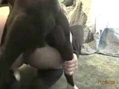 An attractive Dutch slutwife would be impossible without her dog's unfathomable shlong in her cookie.